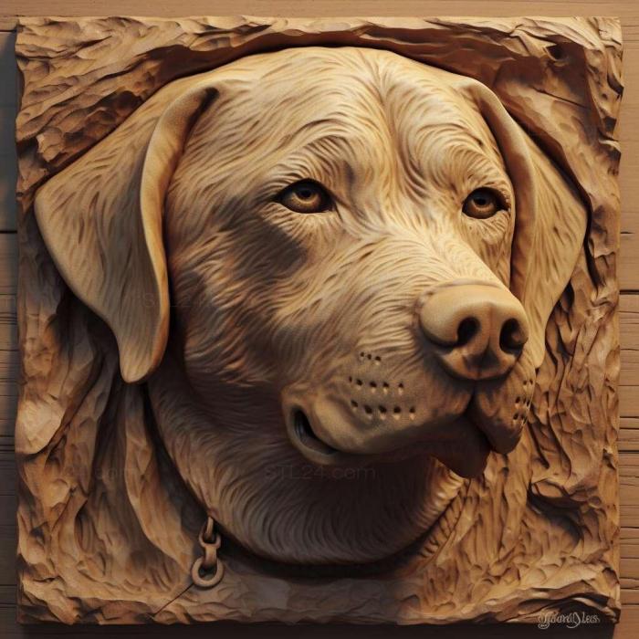 Собака-древер 3